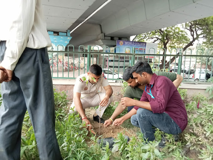 Plantation Drive